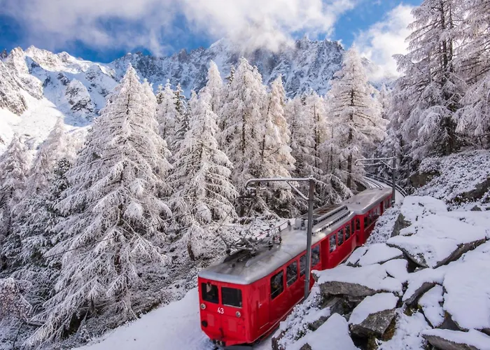 Grepon -city Center - Free Swimming Pool, Sauna, Gym - Free Parking - By Cozee Apartament