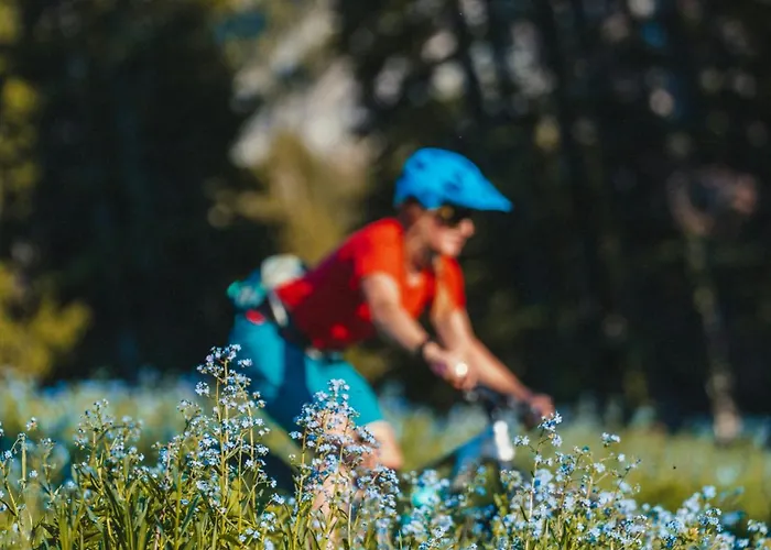 Grepon -city Center - Free Swimming Pool, Sauna, Gym - Free Parking - By Cozee Chamonix